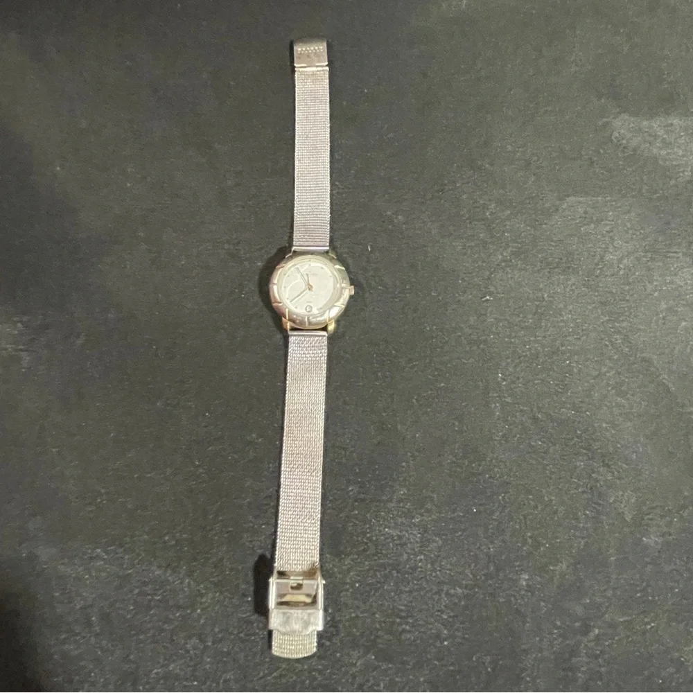 Skagen Silver and Gold Watch